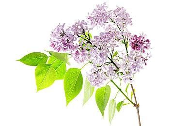 E3：《银河战士：生存恐惧》超长实机演示 BOSS战公开